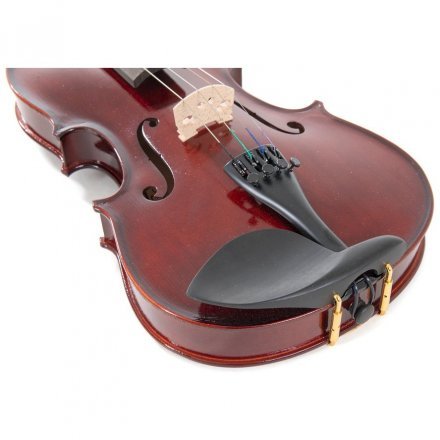 Скрипка  - Фото №169315