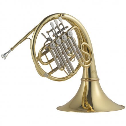 Валторна  - Фото №165796