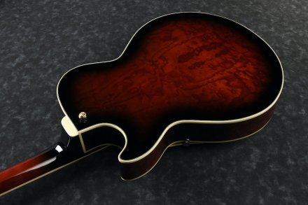 Полуакустическая электрогитара  - Фото №177878