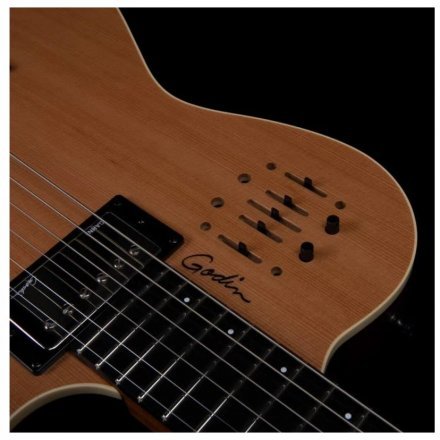 Полуакустическая электрогитара  - Фото №167915