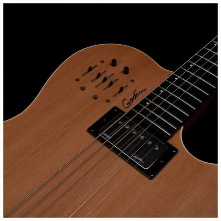 Полуакустическая электрогитара  - Фото №167916