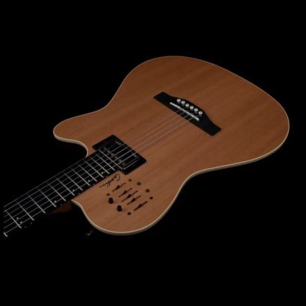 Полуакустическая электрогитара  - Фото №167918