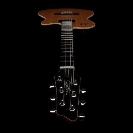 Полуакустическая электрогитара  - Фото №167919