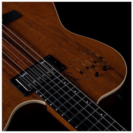 Полуакустическая электрогитара  - Фото №167927