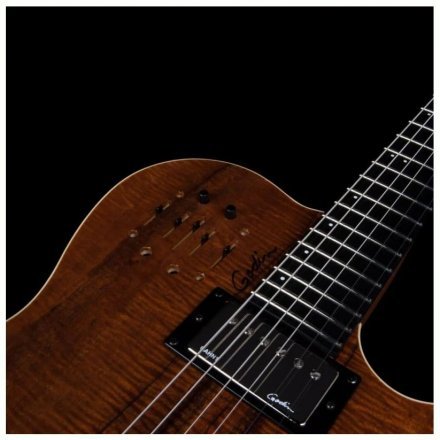 Полуакустическая электрогитара  - Фото №167928