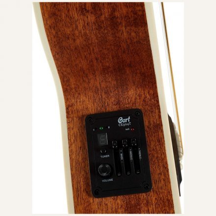 Электроакустическая гитара  - Фото №185885