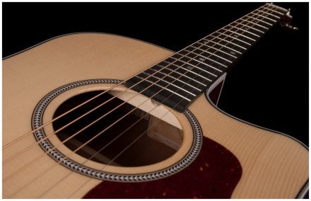 Электроакустическая гитара  - Фото №123049