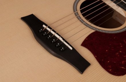 Электроакустическая гитара  - Фото №123050