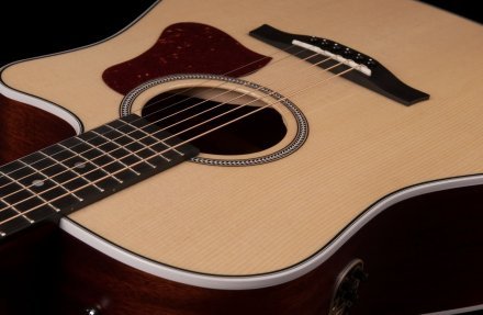 Электроакустическая гитара  - Фото №123051