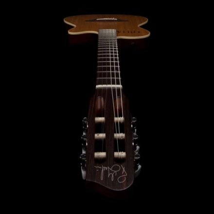 Класична гітара зі звукознімачем  - Фото №167944