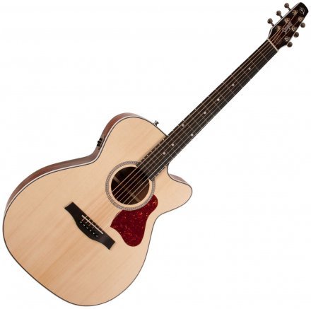 Электроакустическая гитара  - Фото №123056