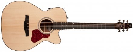 Электроакустическая гитара  - Фото №123057