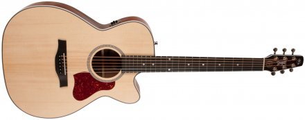 Электроакустическая гитара  - Фото №123058