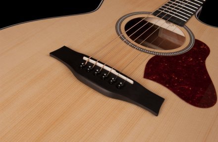 Электроакустическая гитара  - Фото №123061