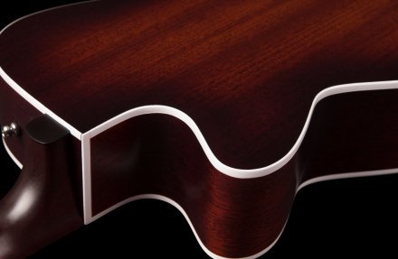 Электроакустическая гитара  - Фото №123062