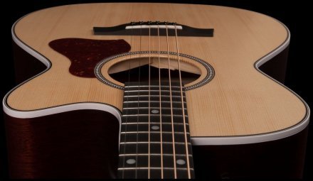 Электроакустическая гитара  - Фото №123063