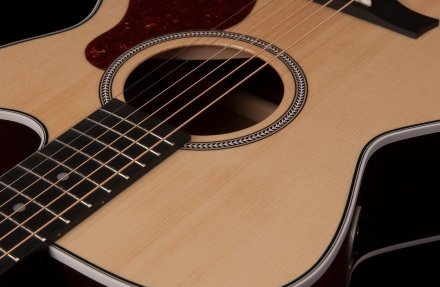 Электроакустическая гитара  - Фото №123064