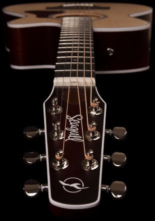 Электроакустическая гитара  - Фото №123066