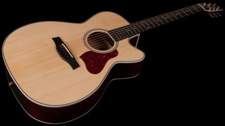 Электроакустическая гитара  - Фото №123067