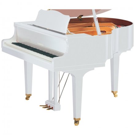 Акустичний рояль  - Фото №185650