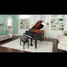 Акустичний рояль 