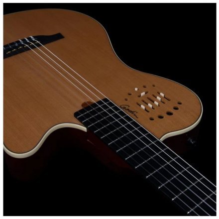 Класична гітара зі звукознімачем  - Фото №167953