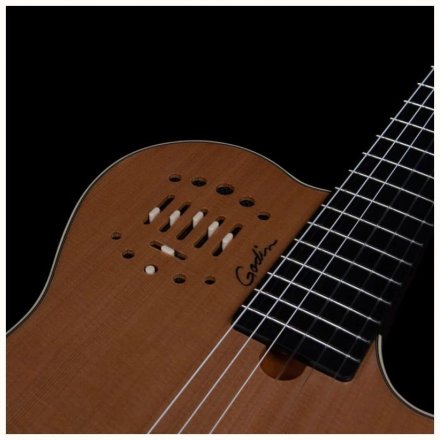 Класична гітара зі звукознімачем  - Фото №167956