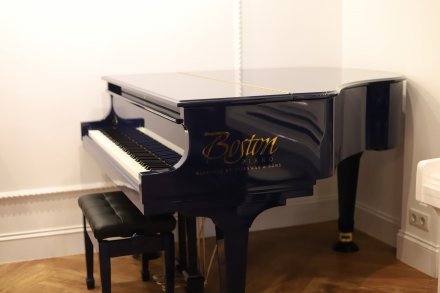 Акустический рояль  - Фото №156154