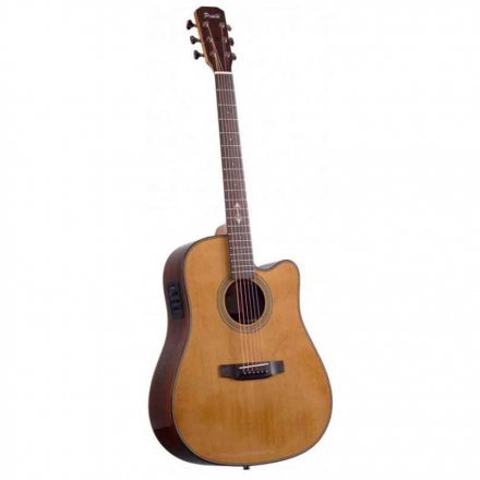 Електроакустична гітара  - Фото №179867