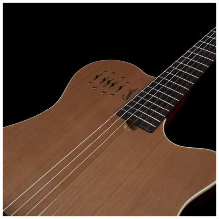 Класична гітара зі звукознімачем  - Фото №167961