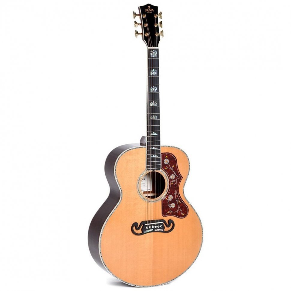 Електроакустична гітара Sigma GJR-SG300 with case