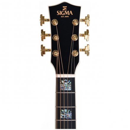 Електроакустична гітара  - Фото №173991