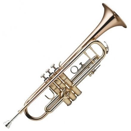 Музична труба  - Фото №50172