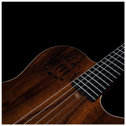Класична гітара зі звукознімачем  - Фото №167984