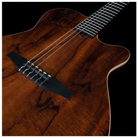 Класична гітара зі звукознімачем  - Фото №167985