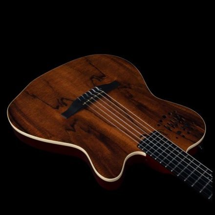 Класична гітара зі звукознімачем  - Фото №167986