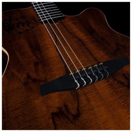 Класична гітара зі звукознімачем  - Фото №167992