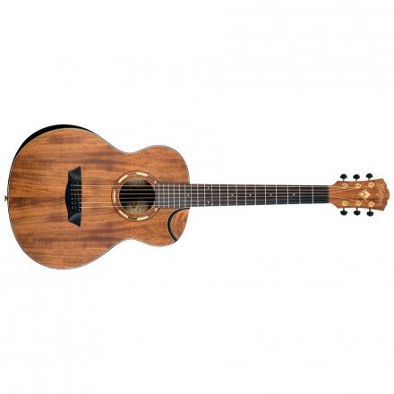 Акустическая гитара  - Фото №181167