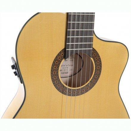 Класична гітара зі звукознімачем  - Фото №169325