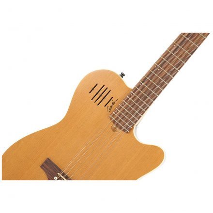 Електроакустична гітара  - Фото №168005