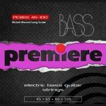 Premiere Strings PEBGS45-100