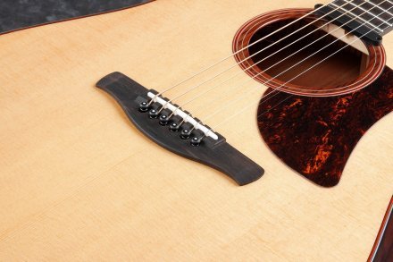 Электроакустическая гитара Ibanez AAD300CE LGS - Фото №133463