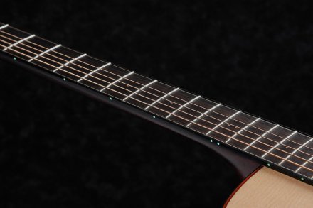 Электроакустическая гитара Ibanez AAD300CE LGS - Фото №133466