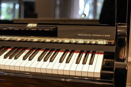 Акустическое пианино  - Фото №156202