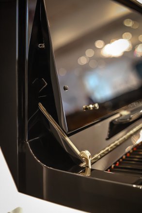 Акустическое пианино  - Фото №156203