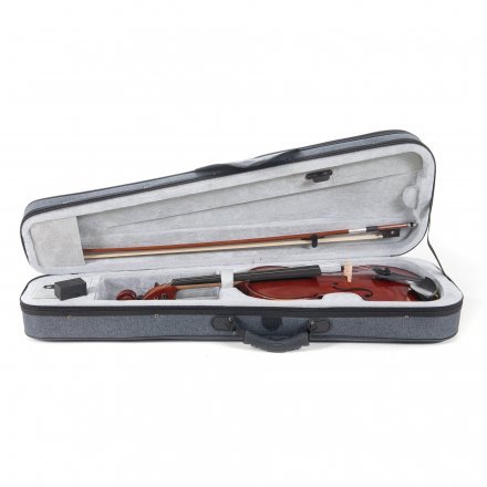 Скрипка  - Фото №185059