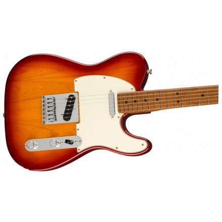 Электрогитара Fender Player Telecaster Ltd Roasted Maple Sienna Sunburst - Фото №140508