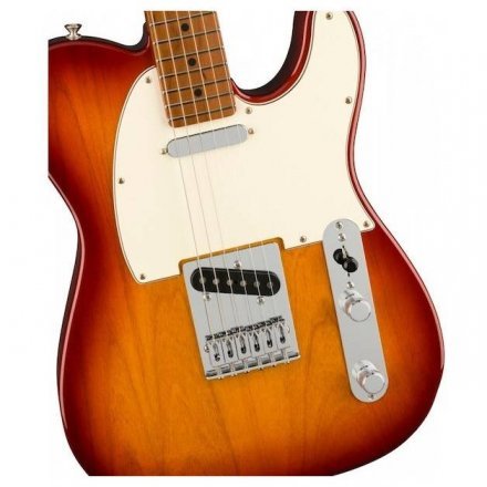 Электрогитара Fender Player Telecaster Ltd Roasted Maple Sienna Sunburst - Фото №140509