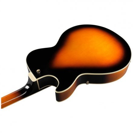 Полуакустическая электрогитара  - Фото №169673