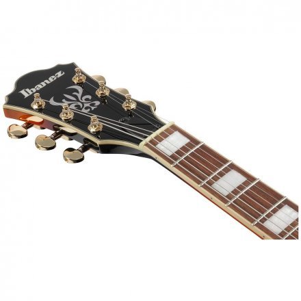 Полуакустическая электрогитара  - Фото №169674